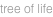 shapeimage_20_link_0